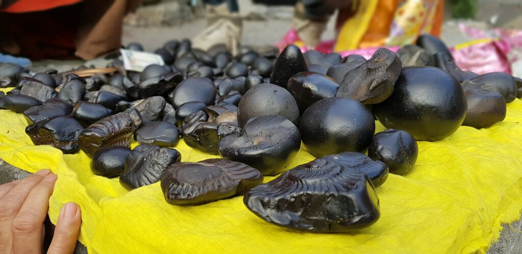 Shaligram Shila in a bunch